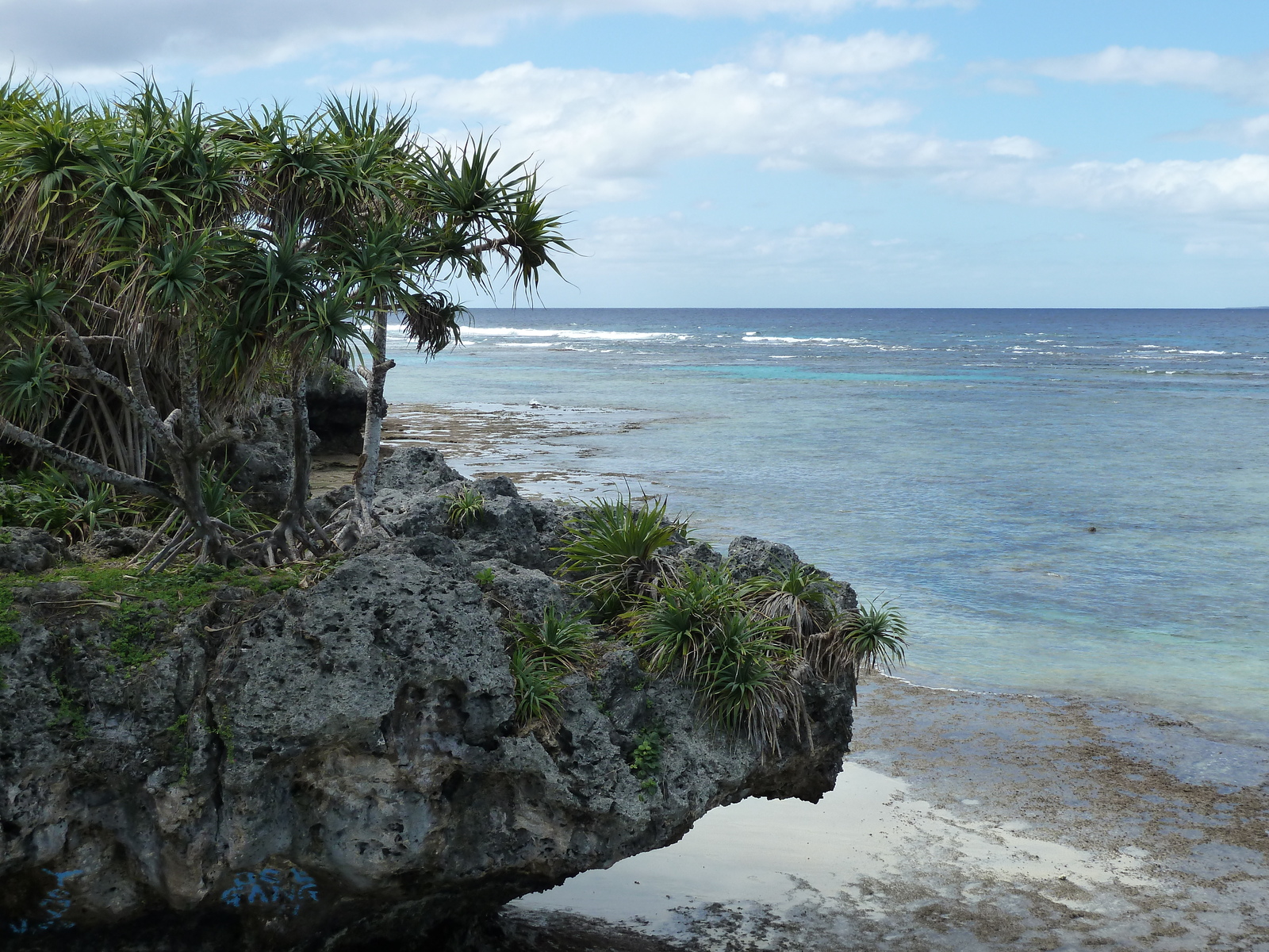 Picture New Caledonia Lifou Baie des tortues 2010-05 2 - Road Map Baie des tortues