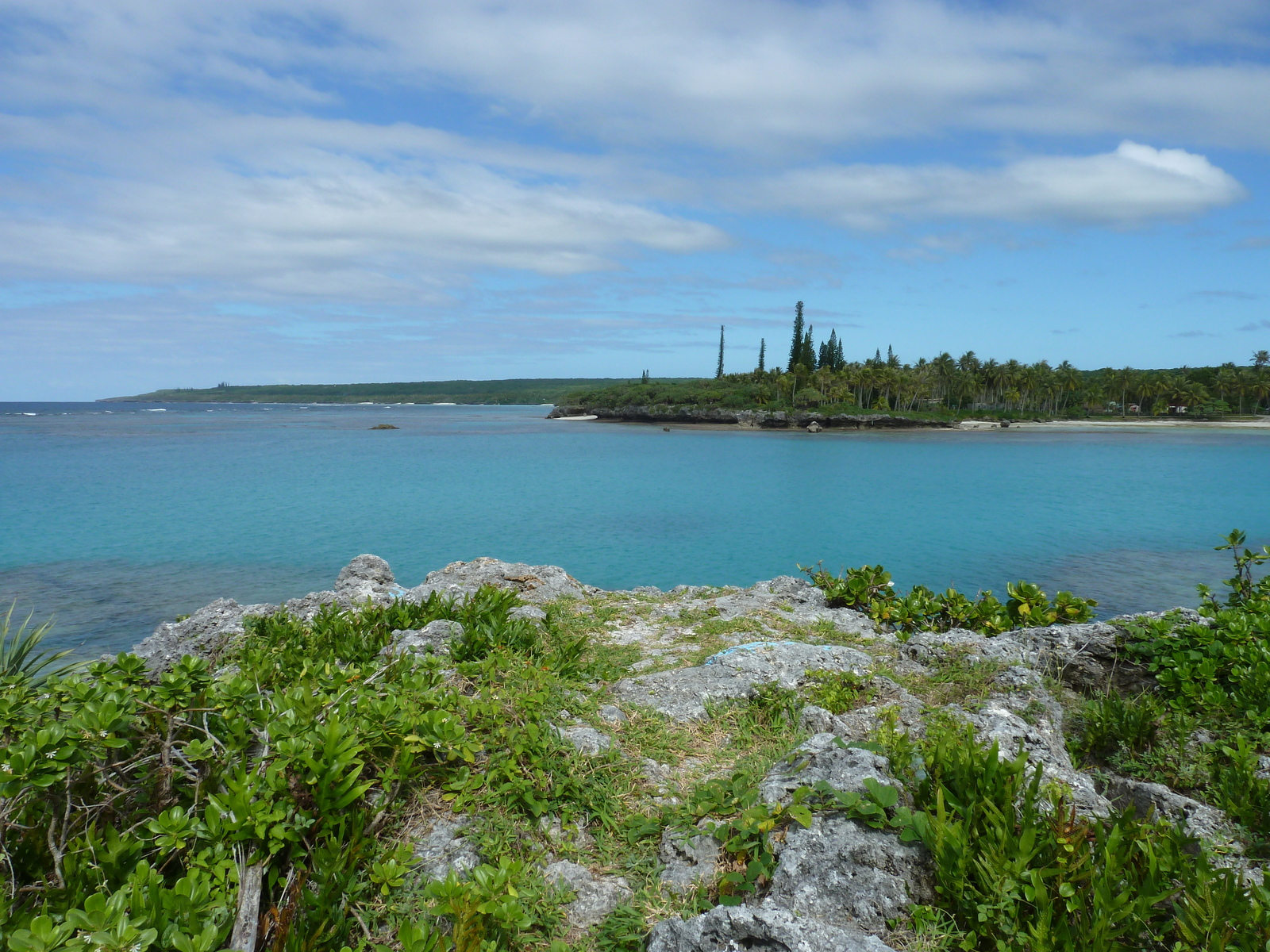 Picture New Caledonia Lifou Baie des tortues 2010-05 14 - Photographer Baie des tortues