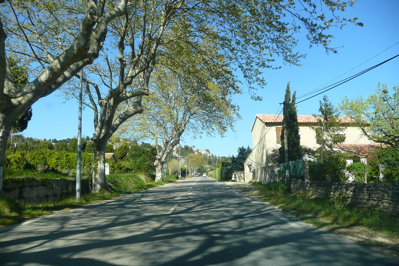 Picture France Provence Mouries to Baux de Provence road 2008-04 18 - Perspective Mouries to Baux de Provence road