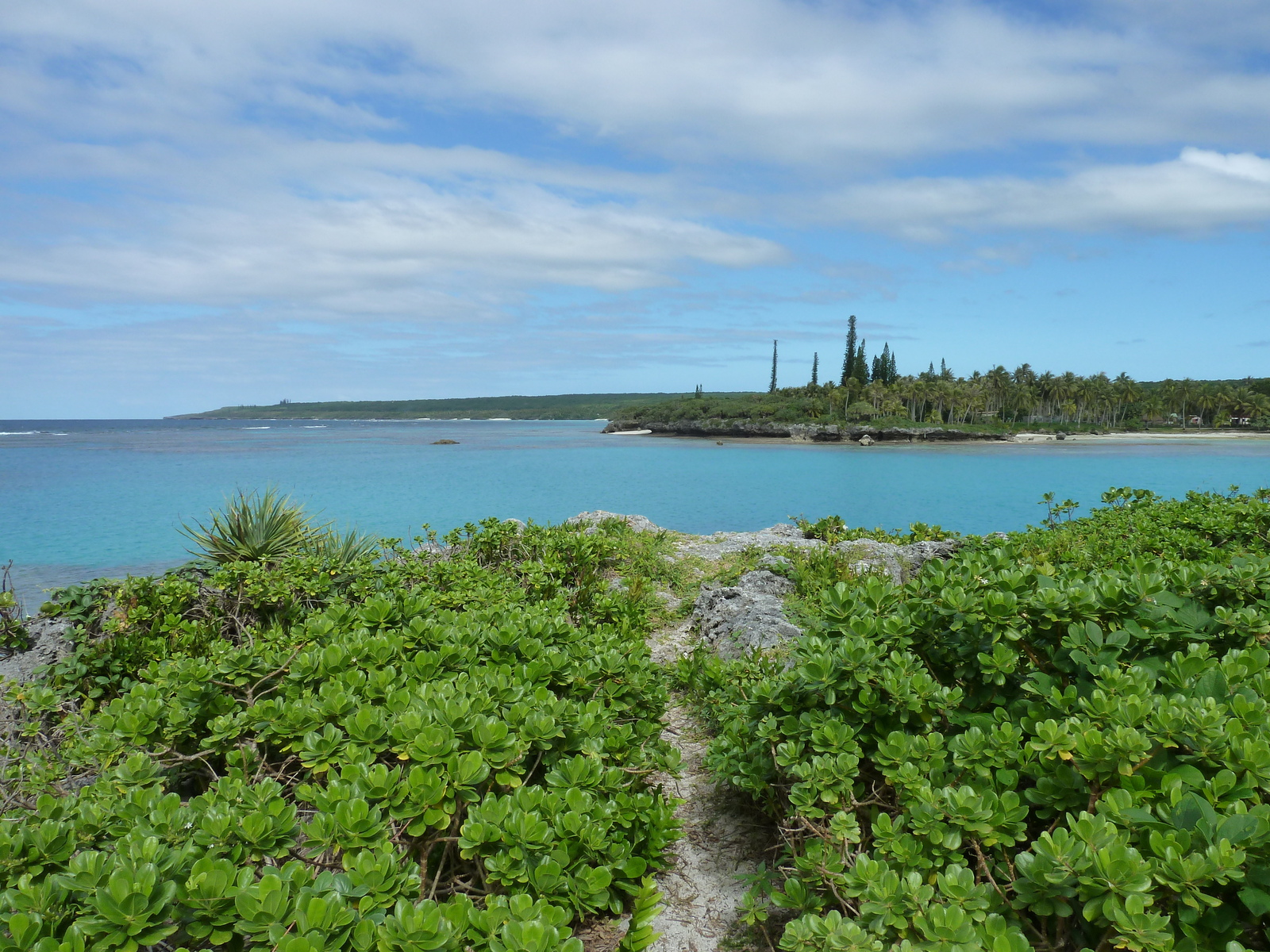 Picture New Caledonia Lifou Baie des tortues 2010-05 11 - Perspective Baie des tortues