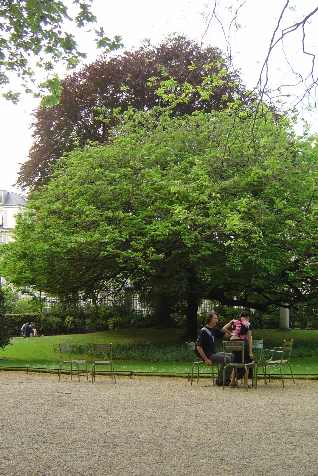 Picture France Paris Luxembourg Garden 2007-04 74 - Road Luxembourg Garden