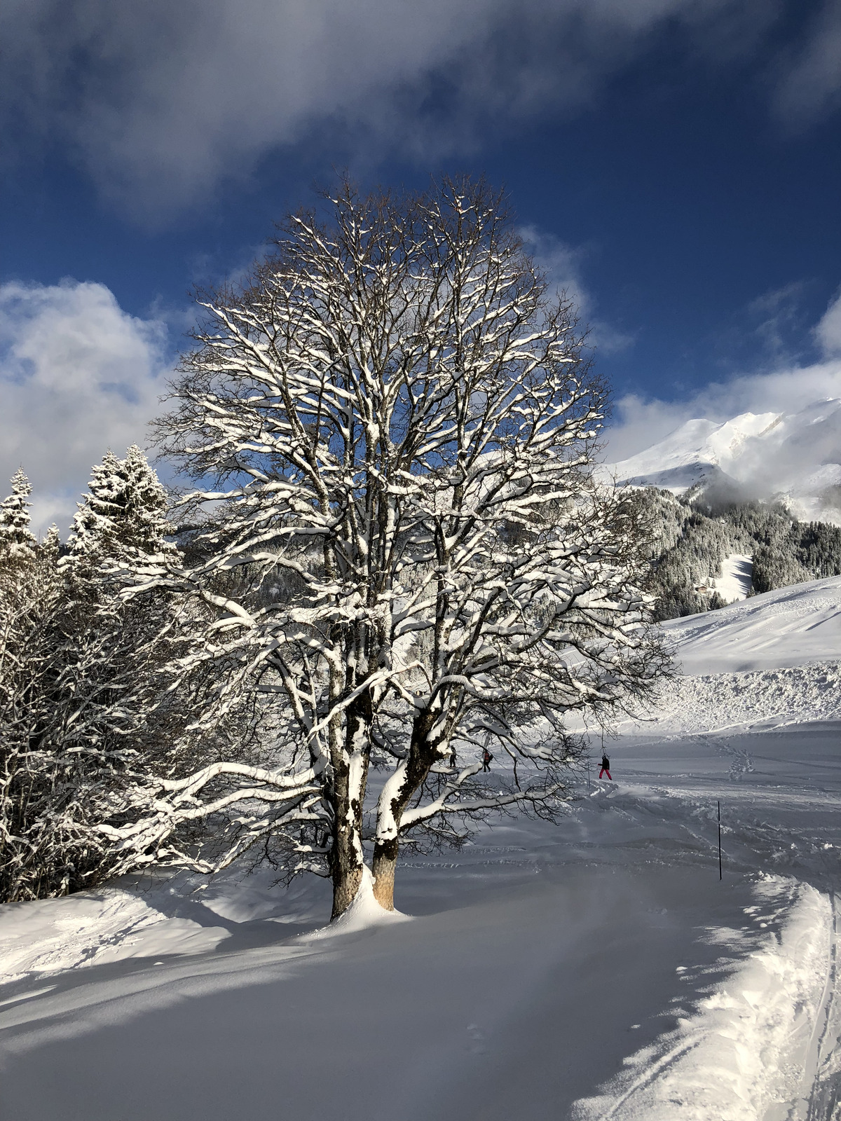 Picture France La Clusaz 2017-12 64 - Trips La Clusaz