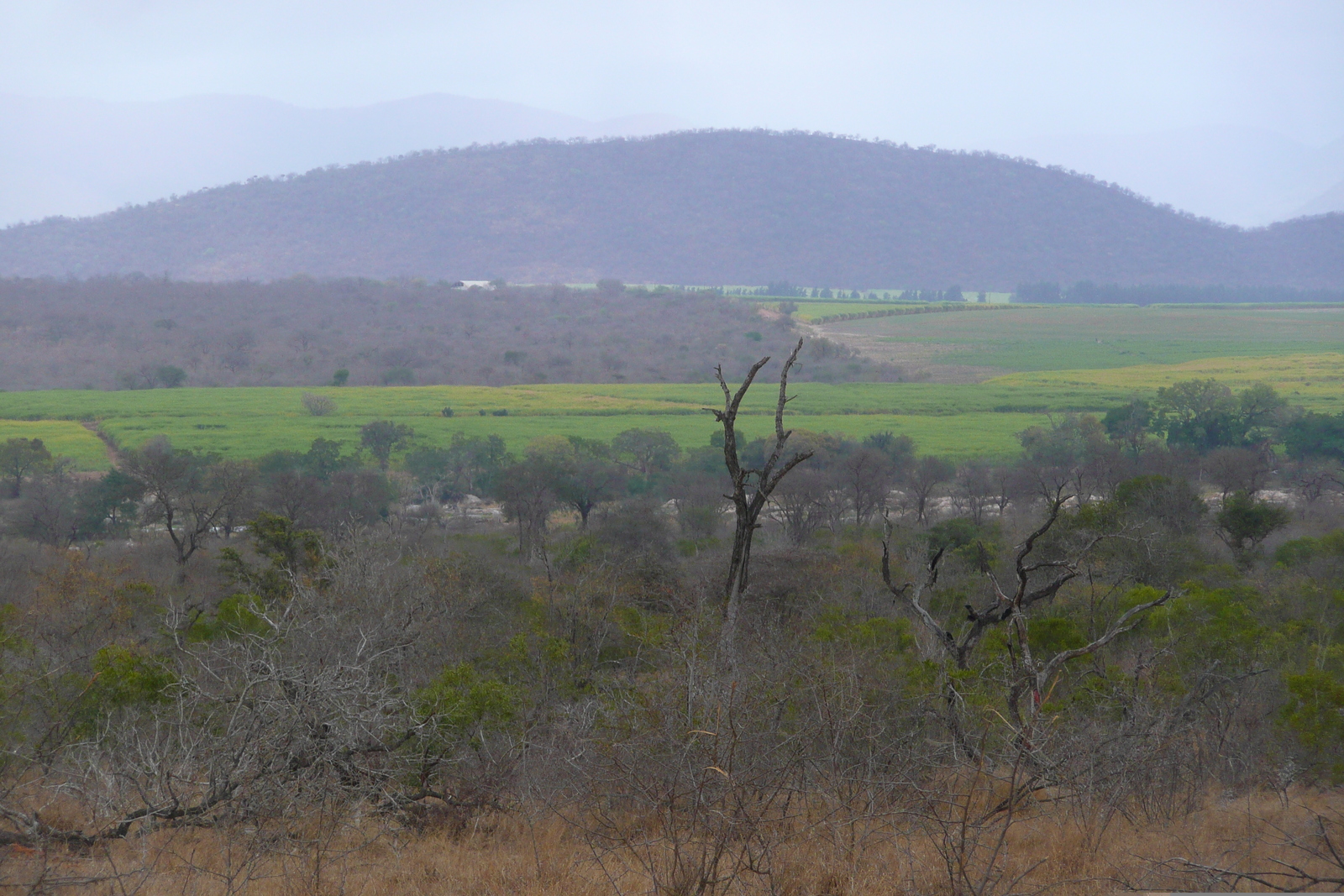 Picture South Africa Kruger National Park Crocodile River road 2008-09 17 - Views Crocodile River road