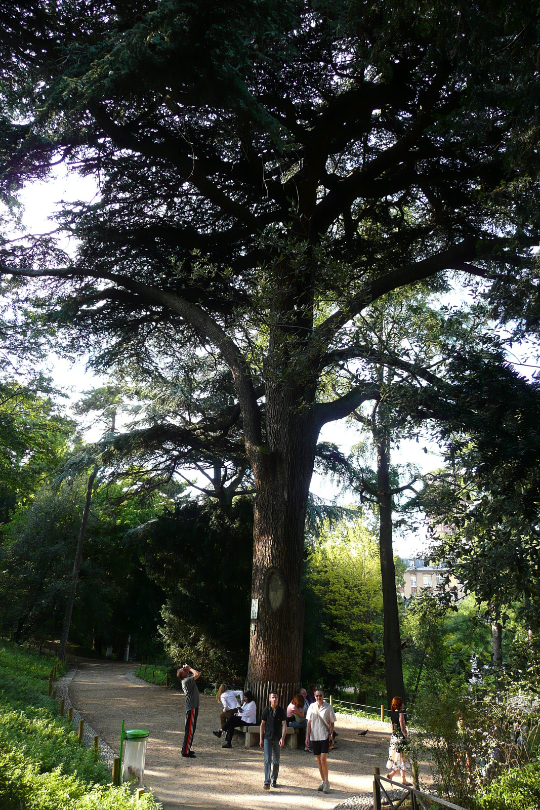 Picture France Paris Jardin des Plantes 2007-08 11 - Flights Jardin des Plantes