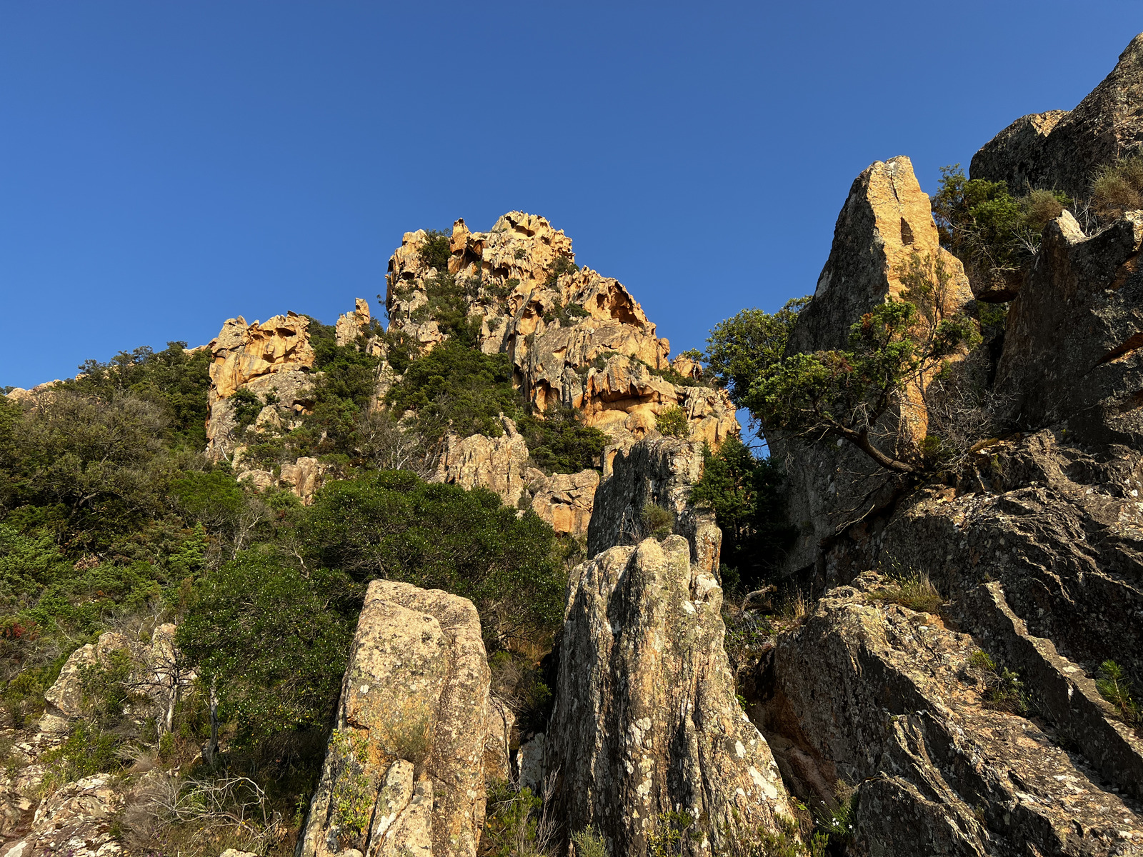 Picture France Corsica Calanques de Piana 2023-06 27 - Trail Calanques de Piana