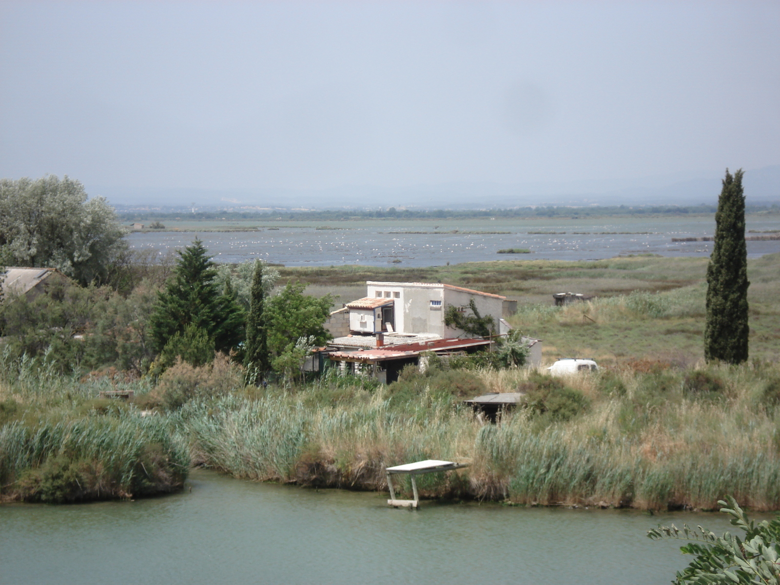 Picture France Camargue 2006-06 13 - Perspective Camargue