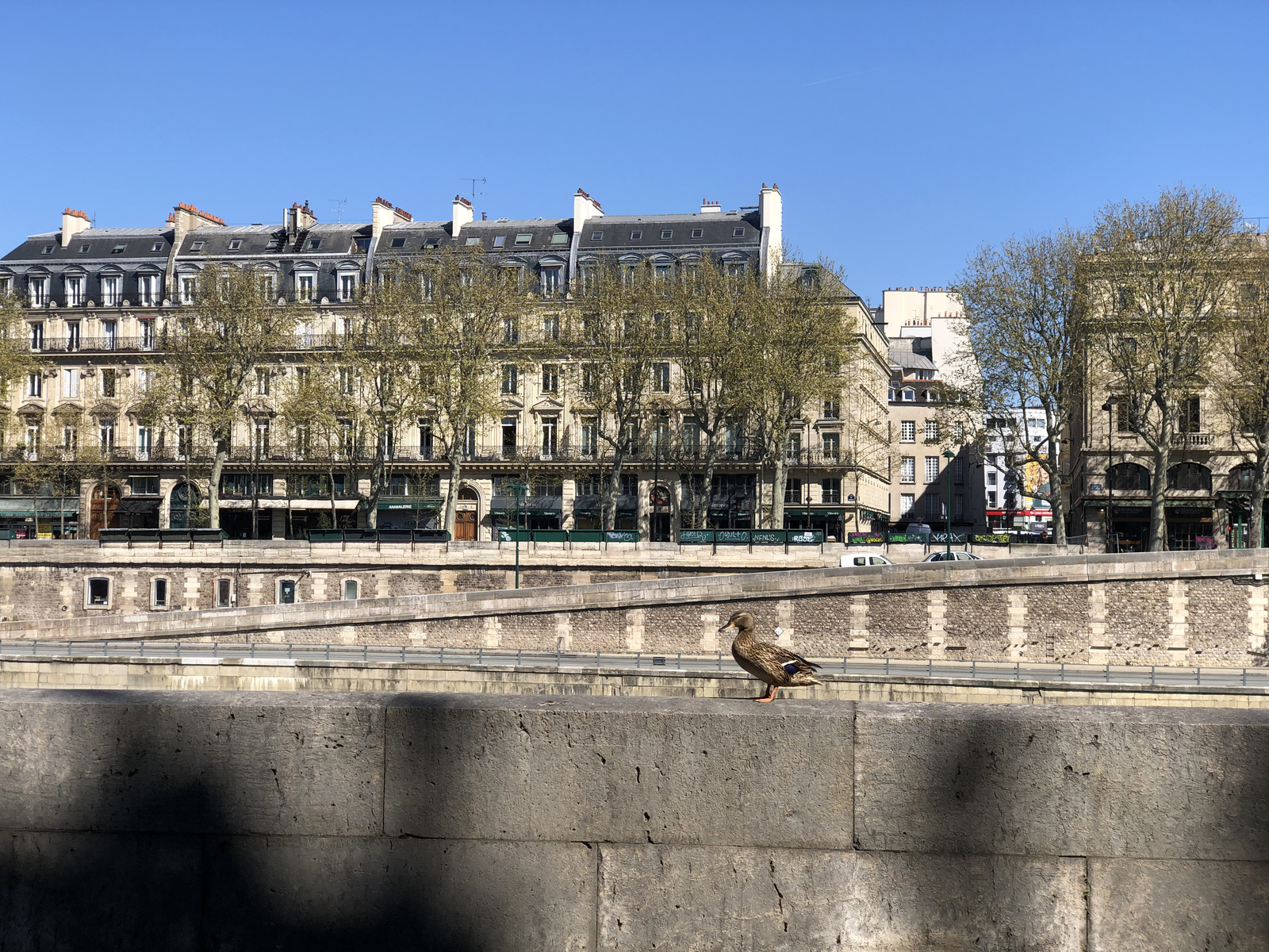 Picture France Paris lockdown 2020-04 300 - Pictures Paris lockdown