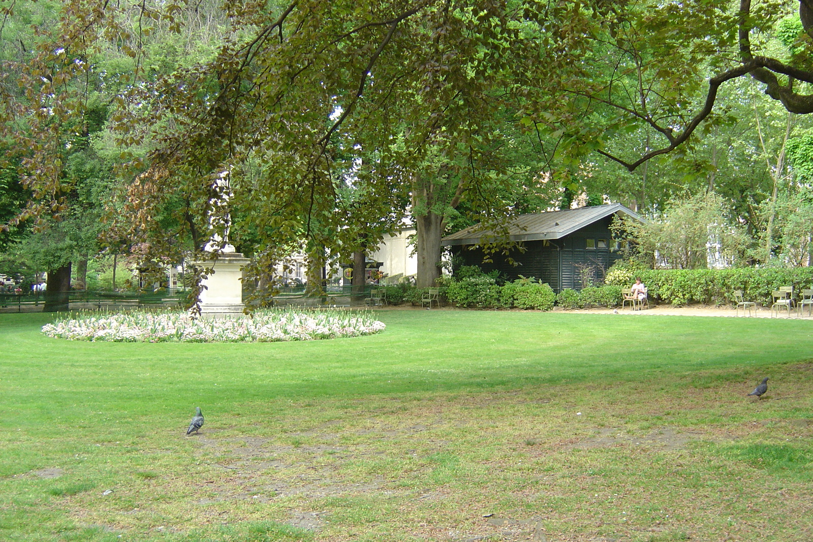 Picture France Paris Luxembourg Garden 2007-04 44 - Perspective Luxembourg Garden