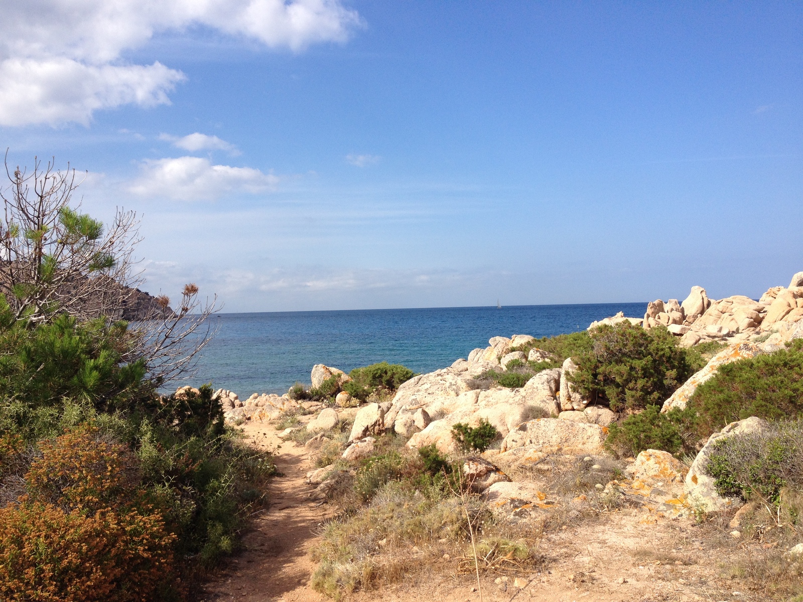 Picture Italy Sardinia Costa Smeralda 2015-06 10 - Photographers Costa Smeralda