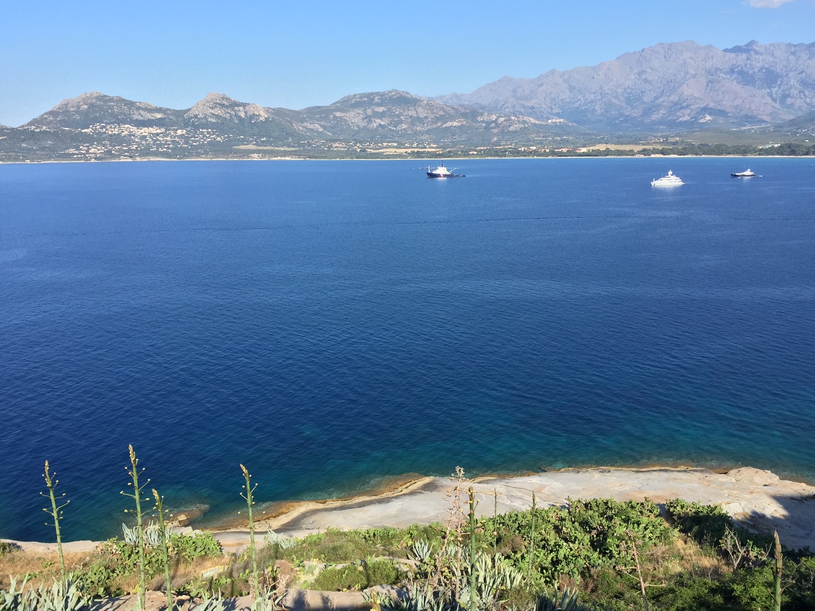 Picture France Corsica Calvi 2015-05 33 - Discover Calvi