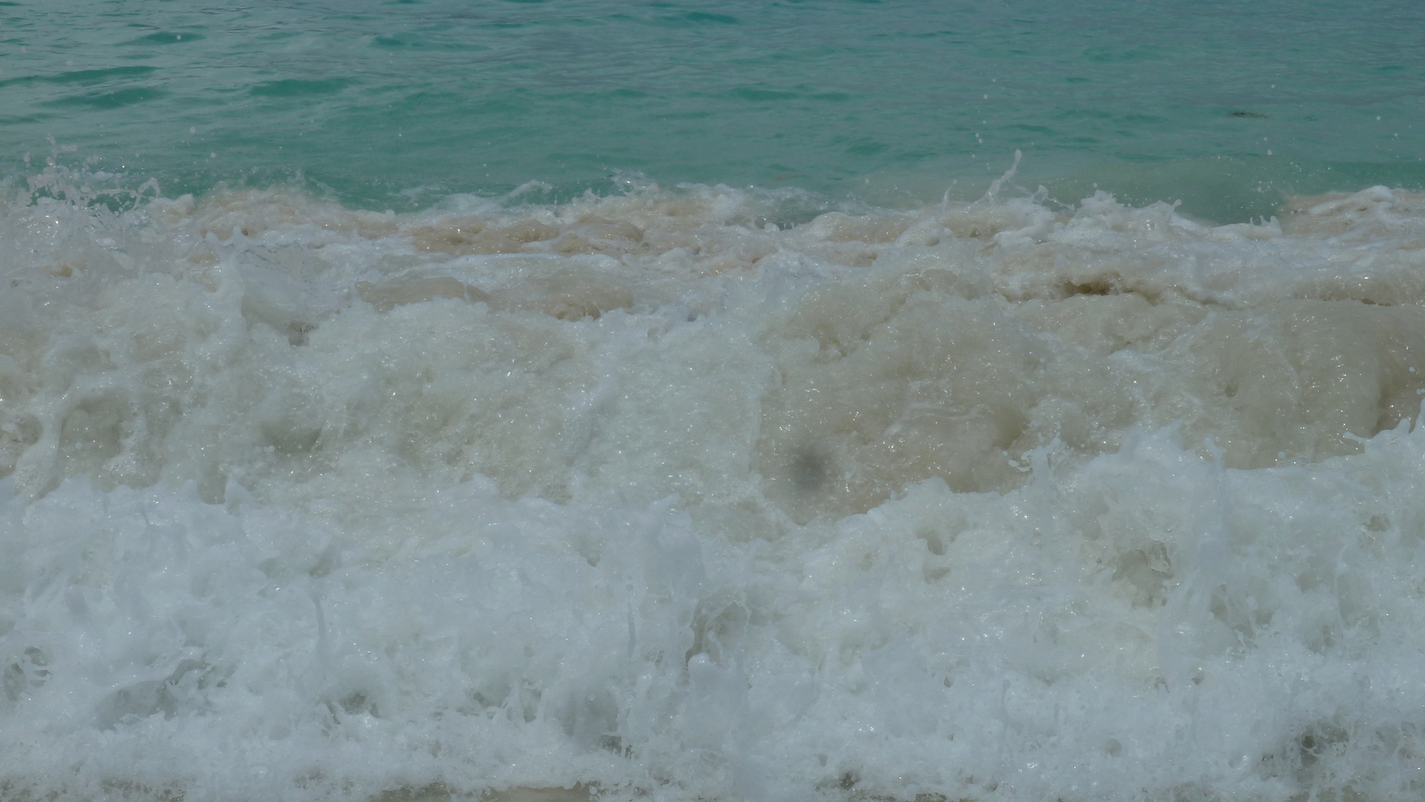 Picture Seychelles Anse Lazio 2011-10 167 - Pictures Anse Lazio