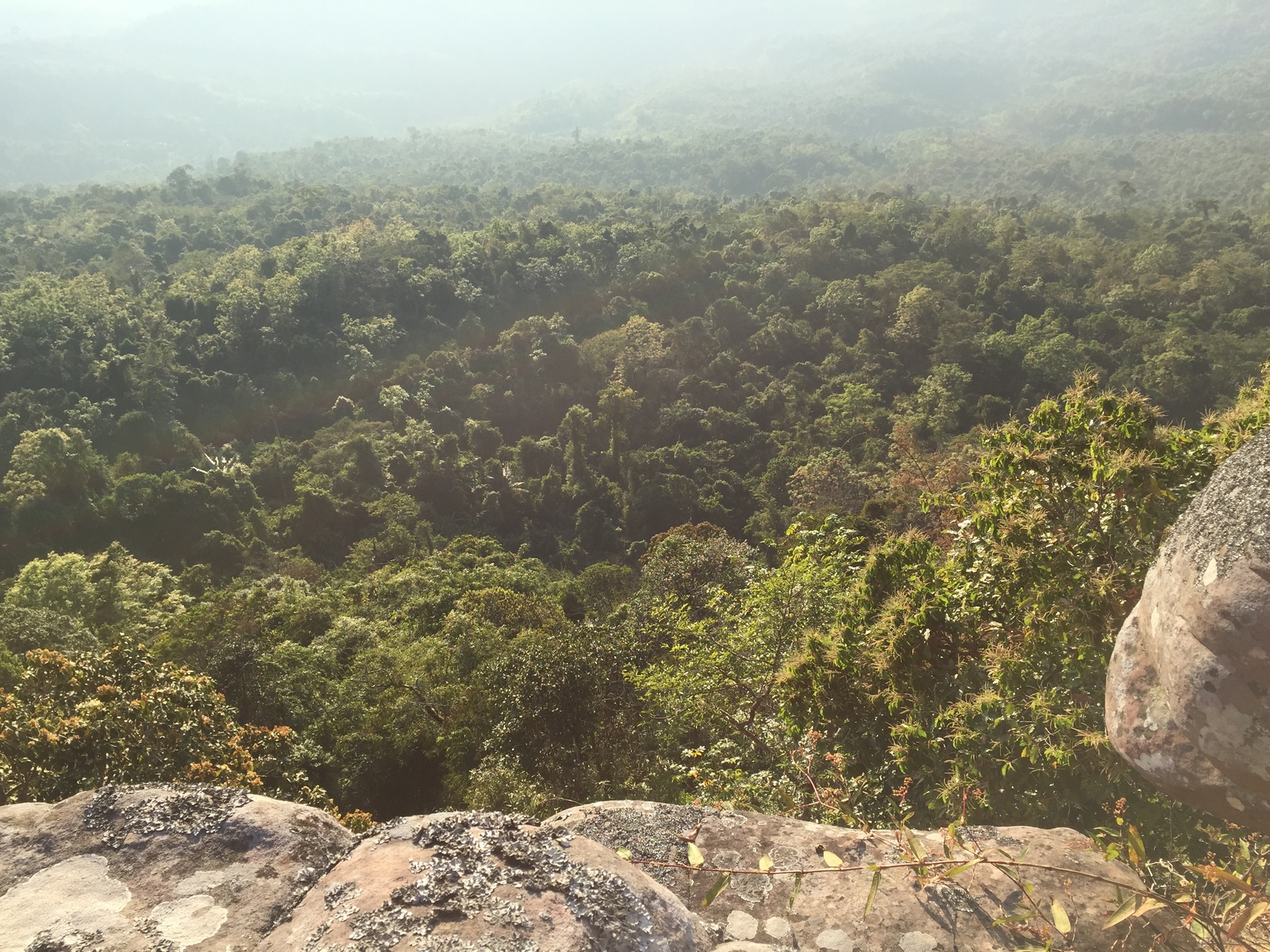 Picture Thailand Phu Hin Rong Kla National Park 2014-12 335 - Photographers Phu Hin Rong Kla National Park