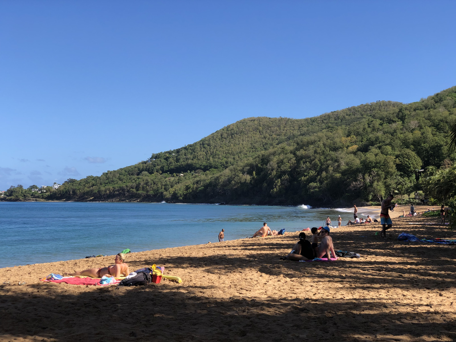 Picture Guadeloupe Grande Hanse Beach 2021-02 12 - Discover Grande Hanse Beach