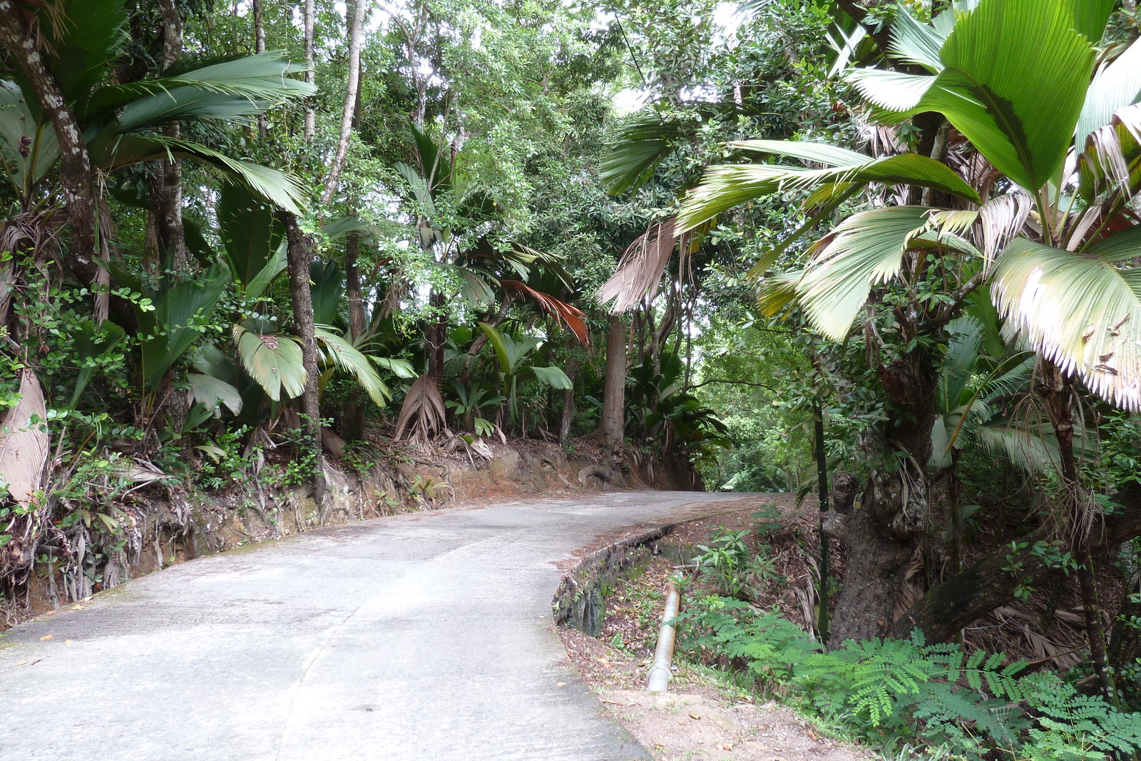 Picture Seychelles Praslin 2011-10 35 - Store Praslin