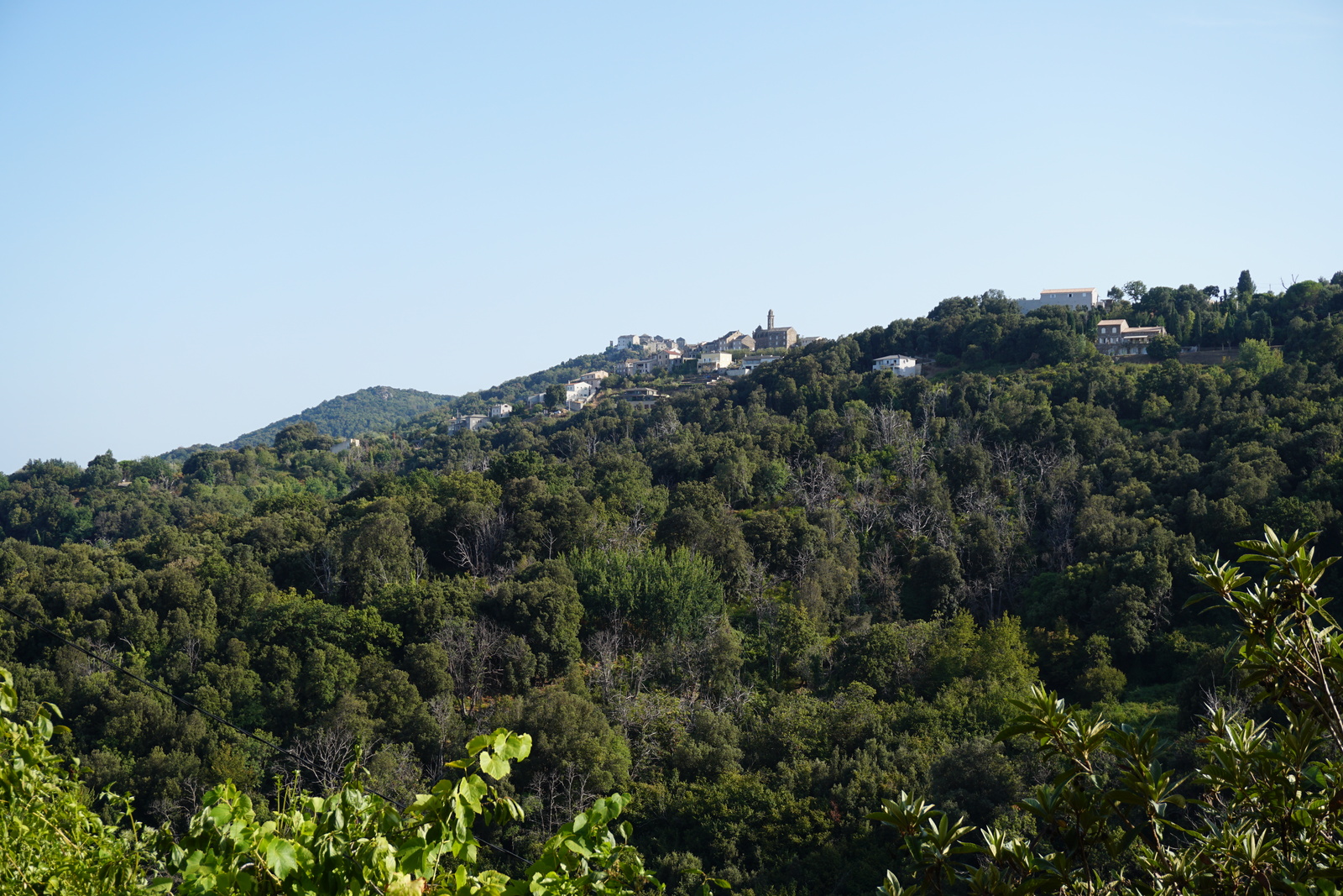 Picture France Corsica Venzolasca 2017-09 25 - Perspective Venzolasca