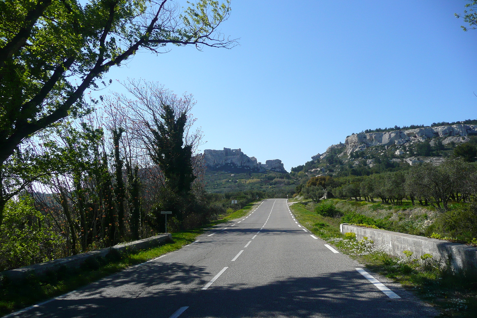 Picture France Provence Mouries to Baux de Provence road 2008-04 13 - Pictures Mouries to Baux de Provence road