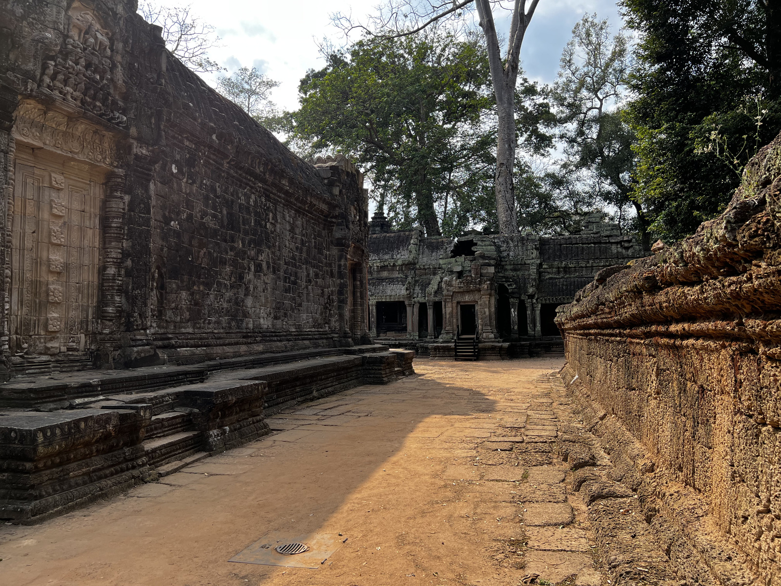 Picture Cambodia Siem Reap Ta Prohm 2023-01 117 - Car Ta Prohm