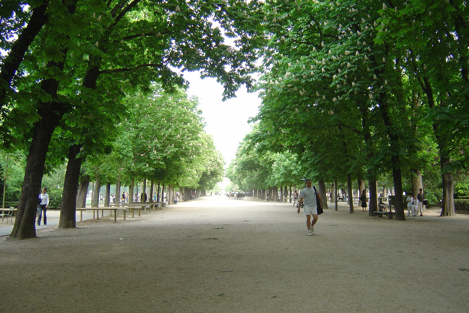 Picture France Paris Luxembourg Garden 2007-04 13 - Flight Luxembourg Garden