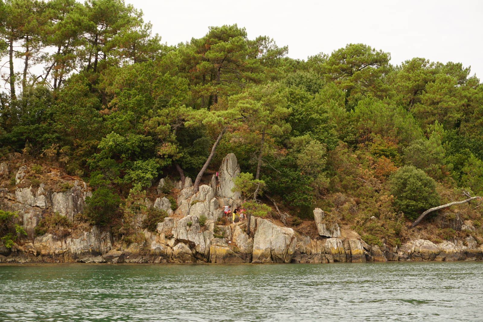 Picture France Golfe du Morbihan 2016-08 65 - Flight Golfe du Morbihan