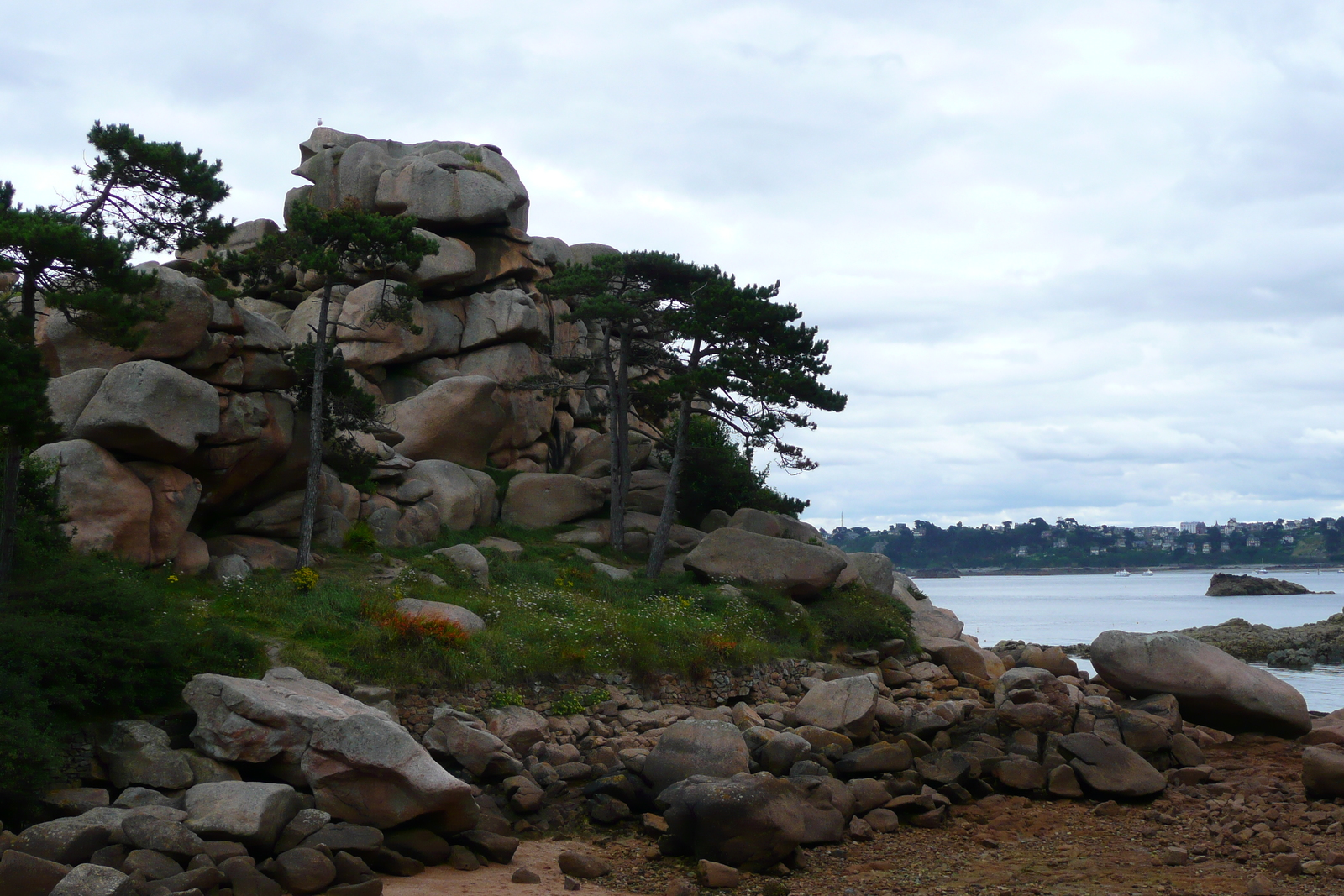 Picture France Perros Guirec Cote de granite rose 2007-08 34 - Photographers Cote de granite rose