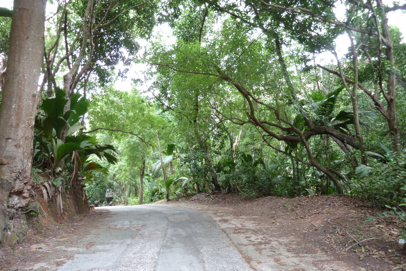 Picture Seychelles Praslin 2011-10 123 - Sightseeing Praslin