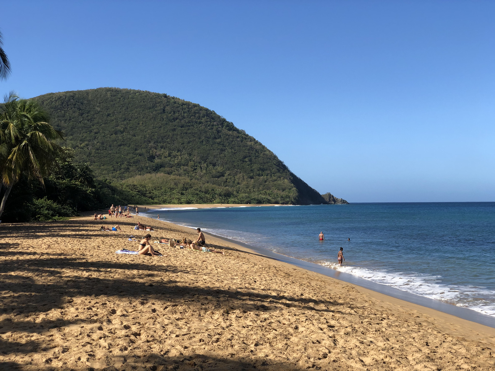 Picture Guadeloupe Grande Hanse Beach 2021-02 1 - Tourist Grande Hanse Beach