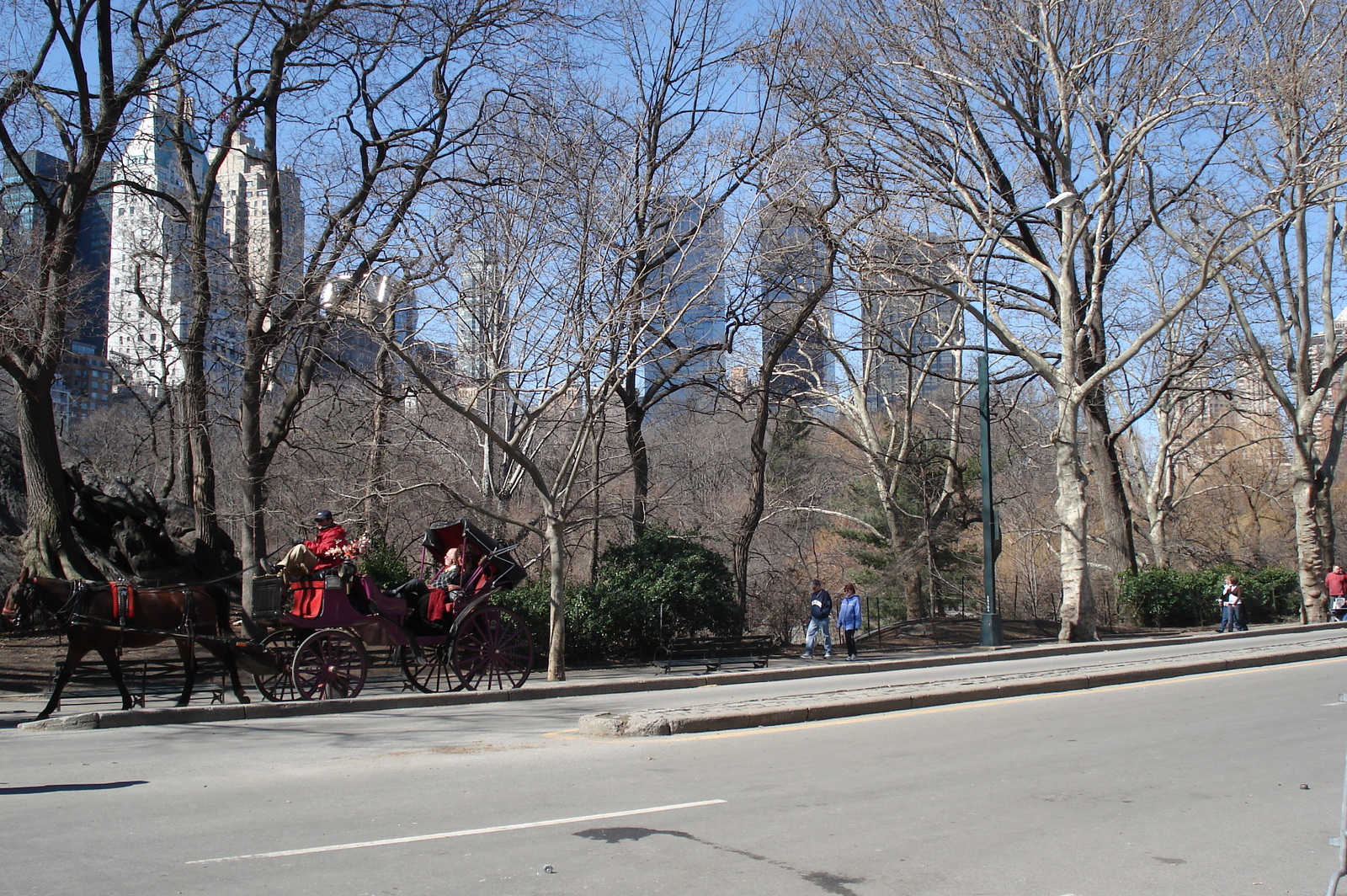 Picture United States New York Central Park 2006-03 53 - Photographers Central Park