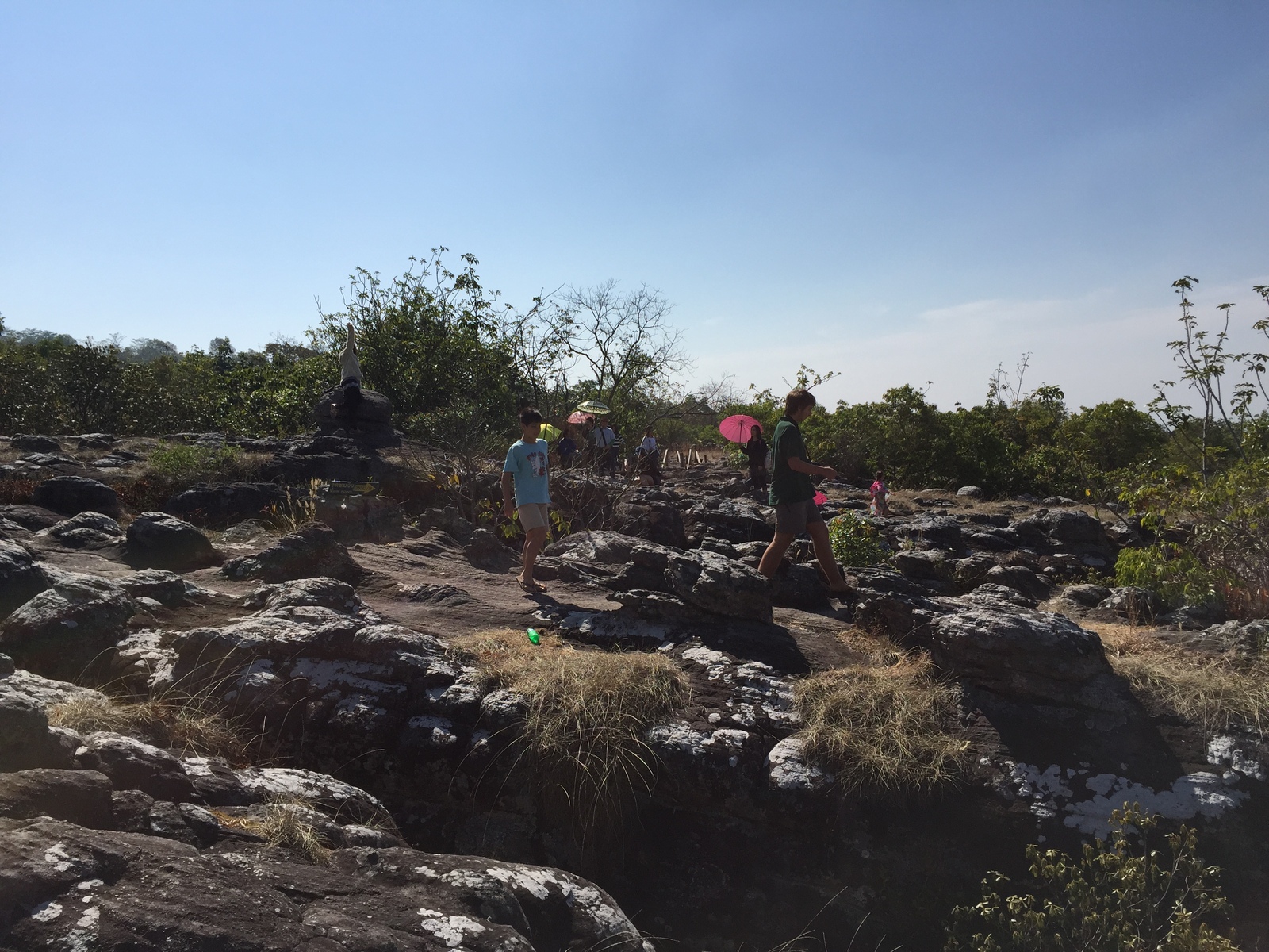 Picture Thailand Phu Hin Rong Kla National Park 2014-12 57 - Car Phu Hin Rong Kla National Park