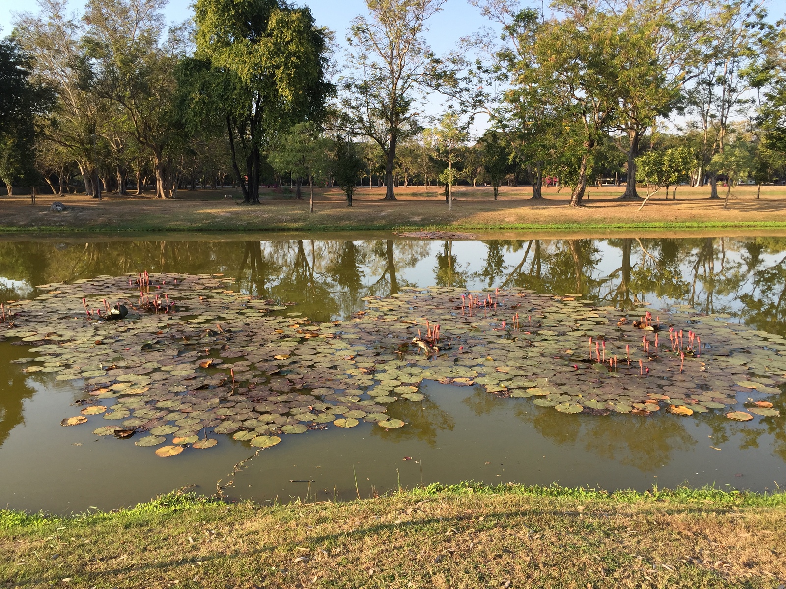 Picture Thailand Sukhothai 2014-12 70 - Trail Sukhothai