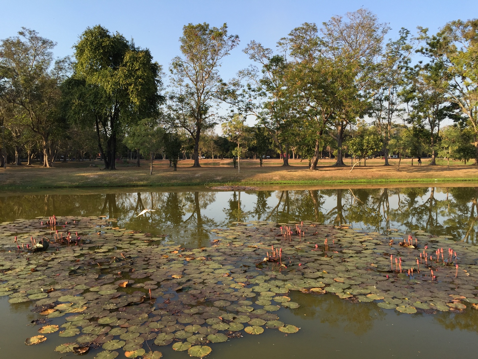 Picture Thailand Sukhothai 2014-12 73 - Picture Sukhothai