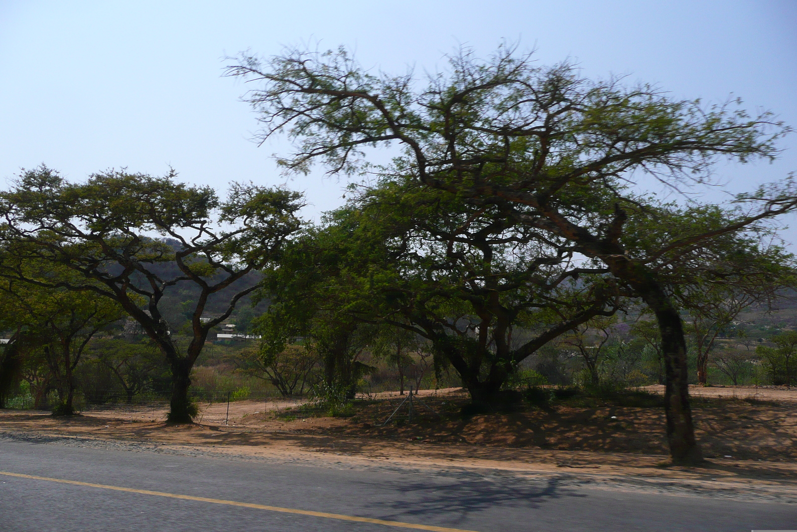 Picture South Africa Nelspruit 2008-09 44 - Travel Nelspruit