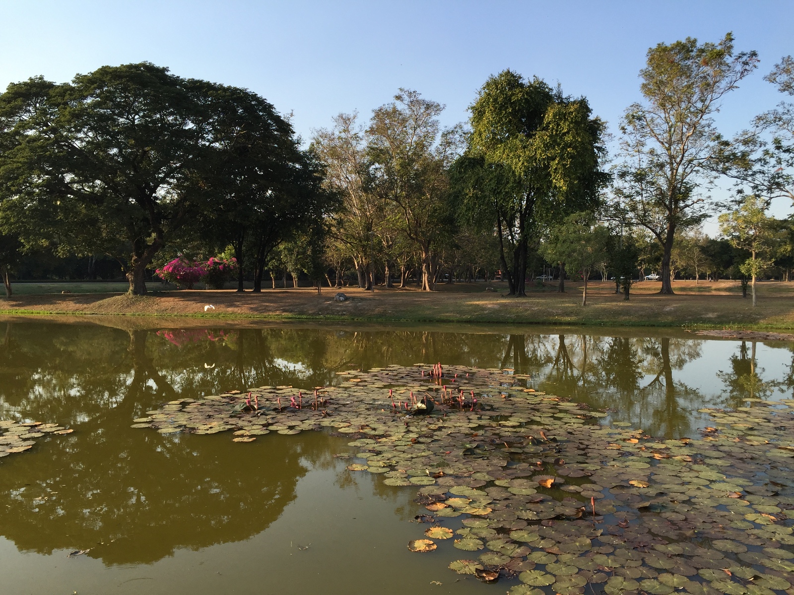 Picture Thailand Sukhothai 2014-12 20 - Sight Sukhothai