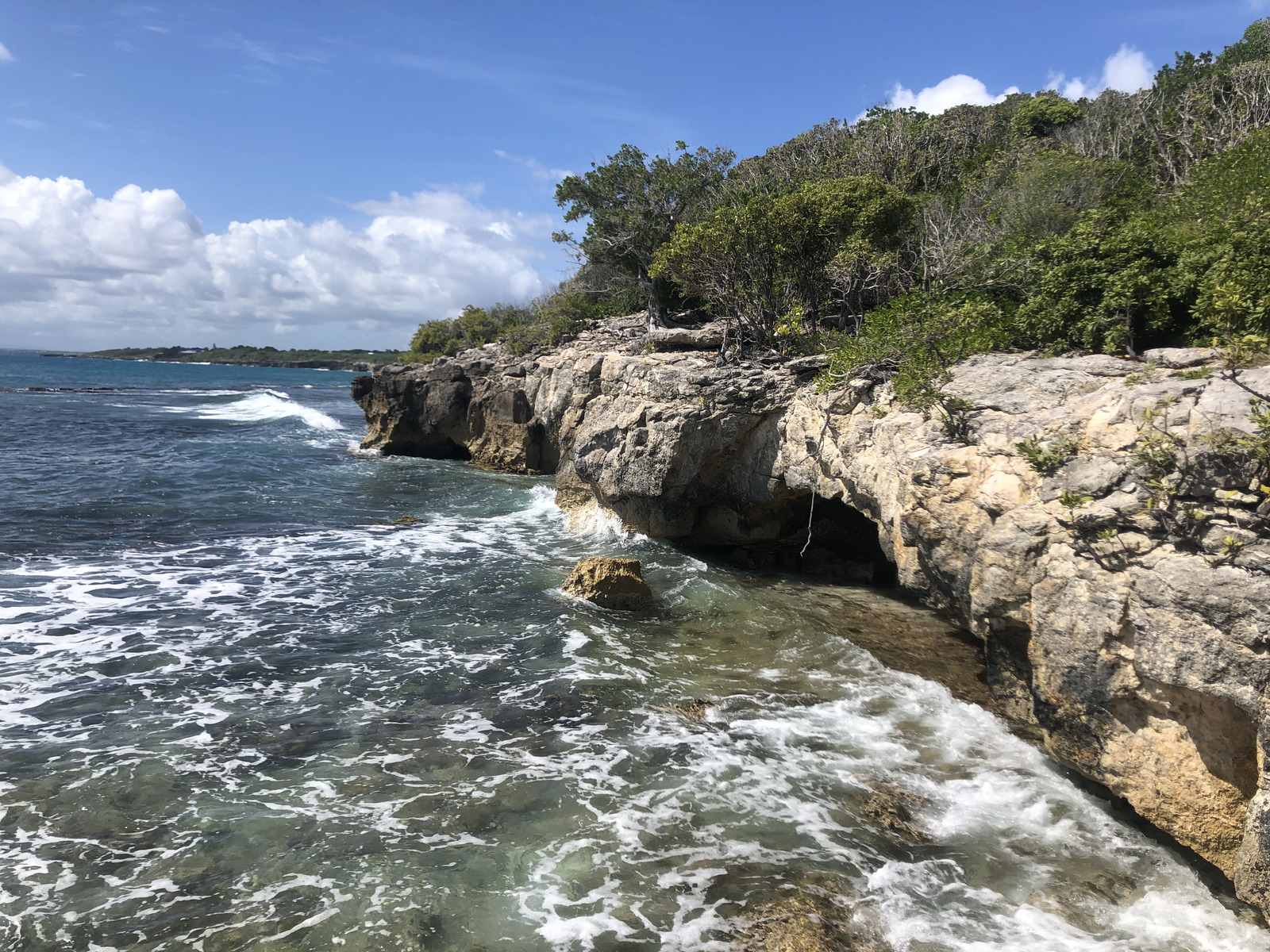 Picture Guadeloupe Saint Francois 2021-02 72 - Photographers Saint Francois