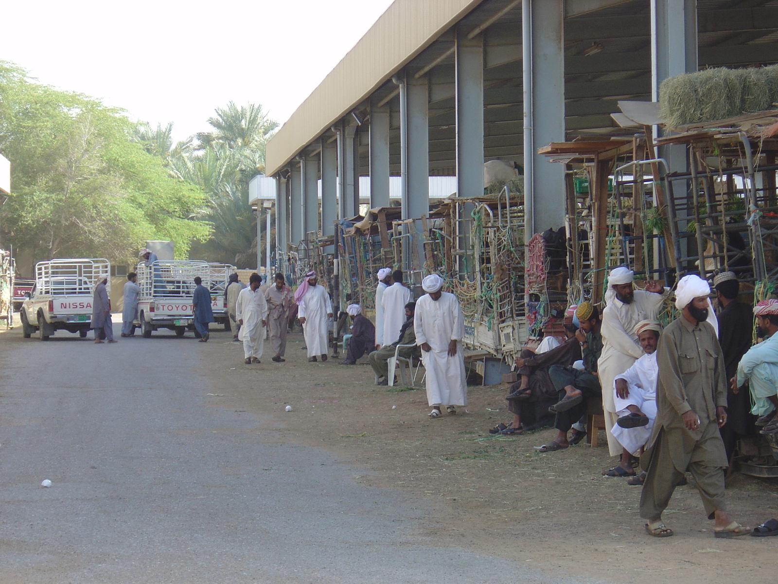 Picture United Arab Emirates Al Ain 2005-03 67 - Picture Al Ain