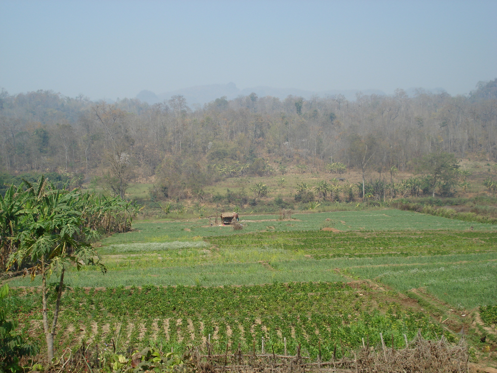 Picture Thailand Pang Mapha 2007-02 60 - Visit Pang Mapha