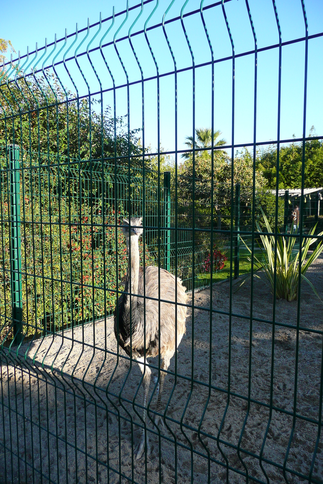 Picture France Nice Phoenix Parc 2007-10 7 - Views Phoenix Parc