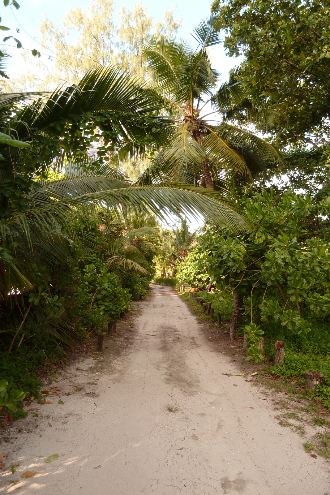 Picture Seychelles Anse Lazio 2011-10 58 - Perspective Anse Lazio