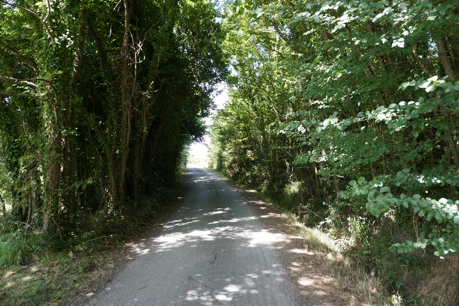 Picture France Belle-Ile 2016-08 33 - Views Belle-Ile