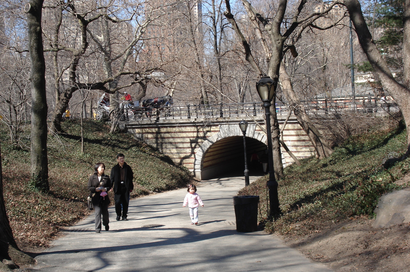 Picture United States New York Central Park 2006-03 27 - Journey Central Park