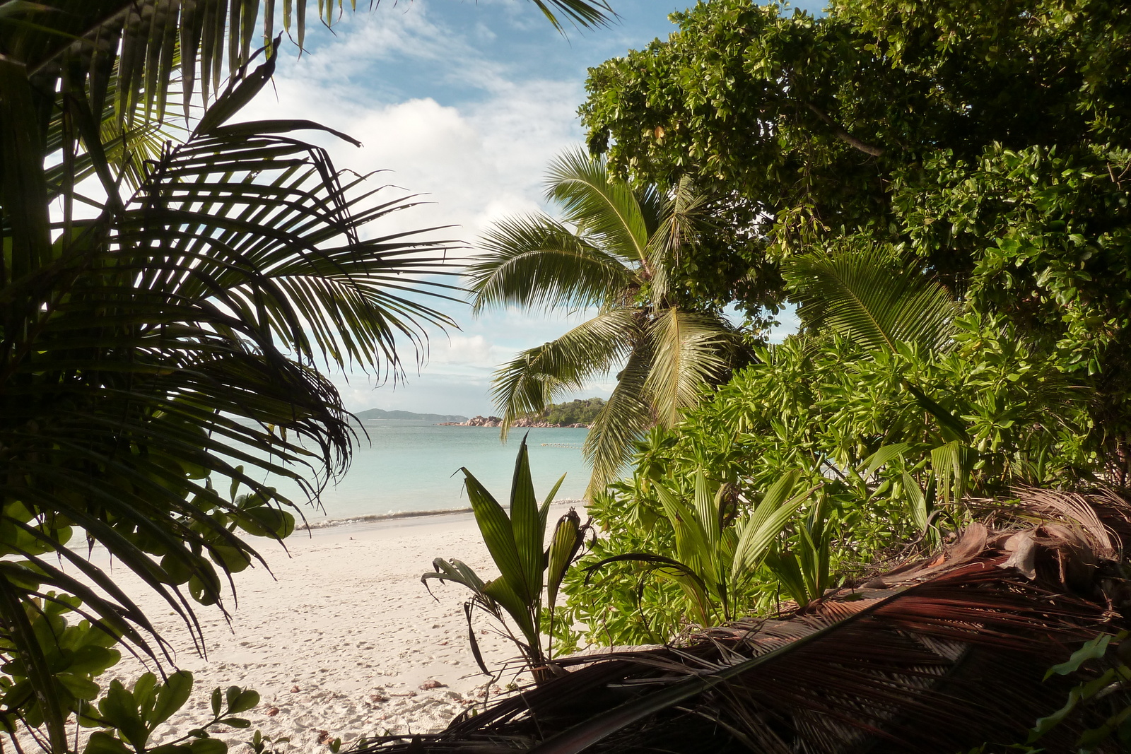 Picture Seychelles Anse Lazio 2011-10 47 - Visit Anse Lazio