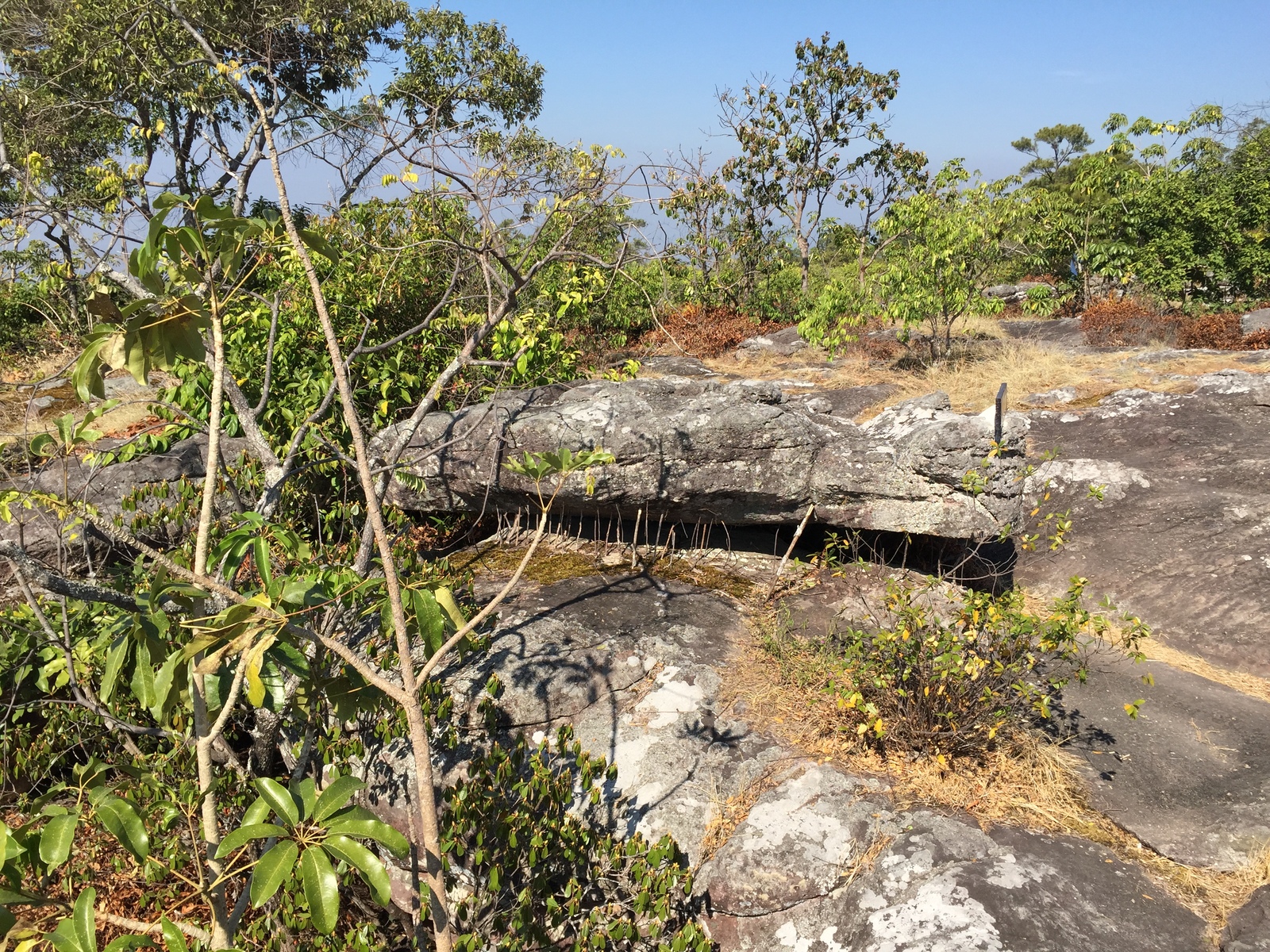 Picture Thailand Phu Hin Rong Kla National Park 2014-12 30 - Shopping Mall Phu Hin Rong Kla National Park