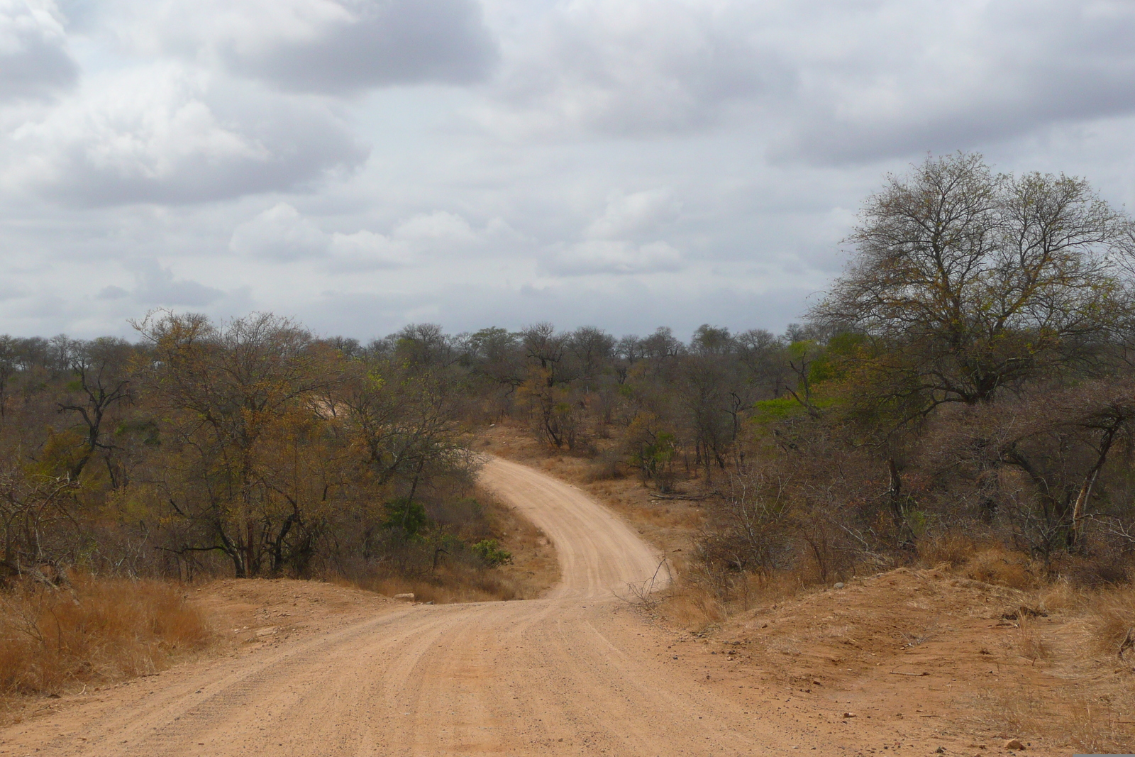 Picture South Africa Kruger National Park Crocodile River road 2008-09 4 - Views Crocodile River road