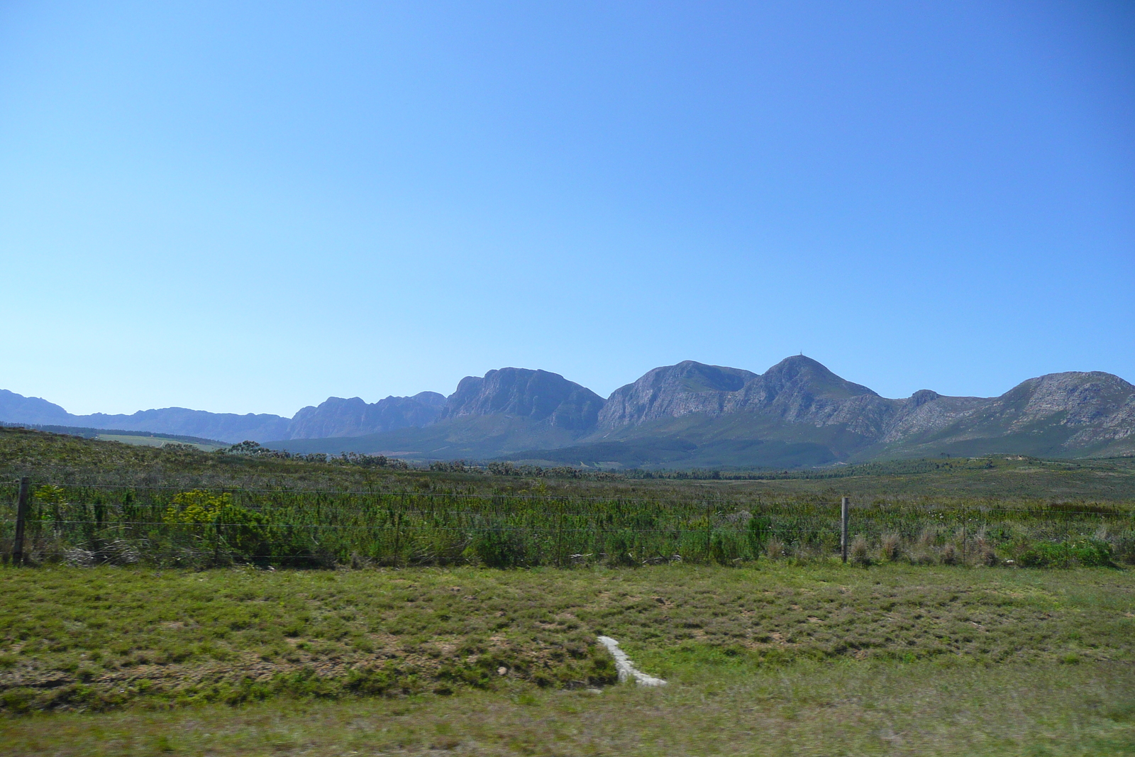 Picture South Africa Cape Town to Harmanus road 2008-09 64 - Sightseeing Cape Town to Harmanus road