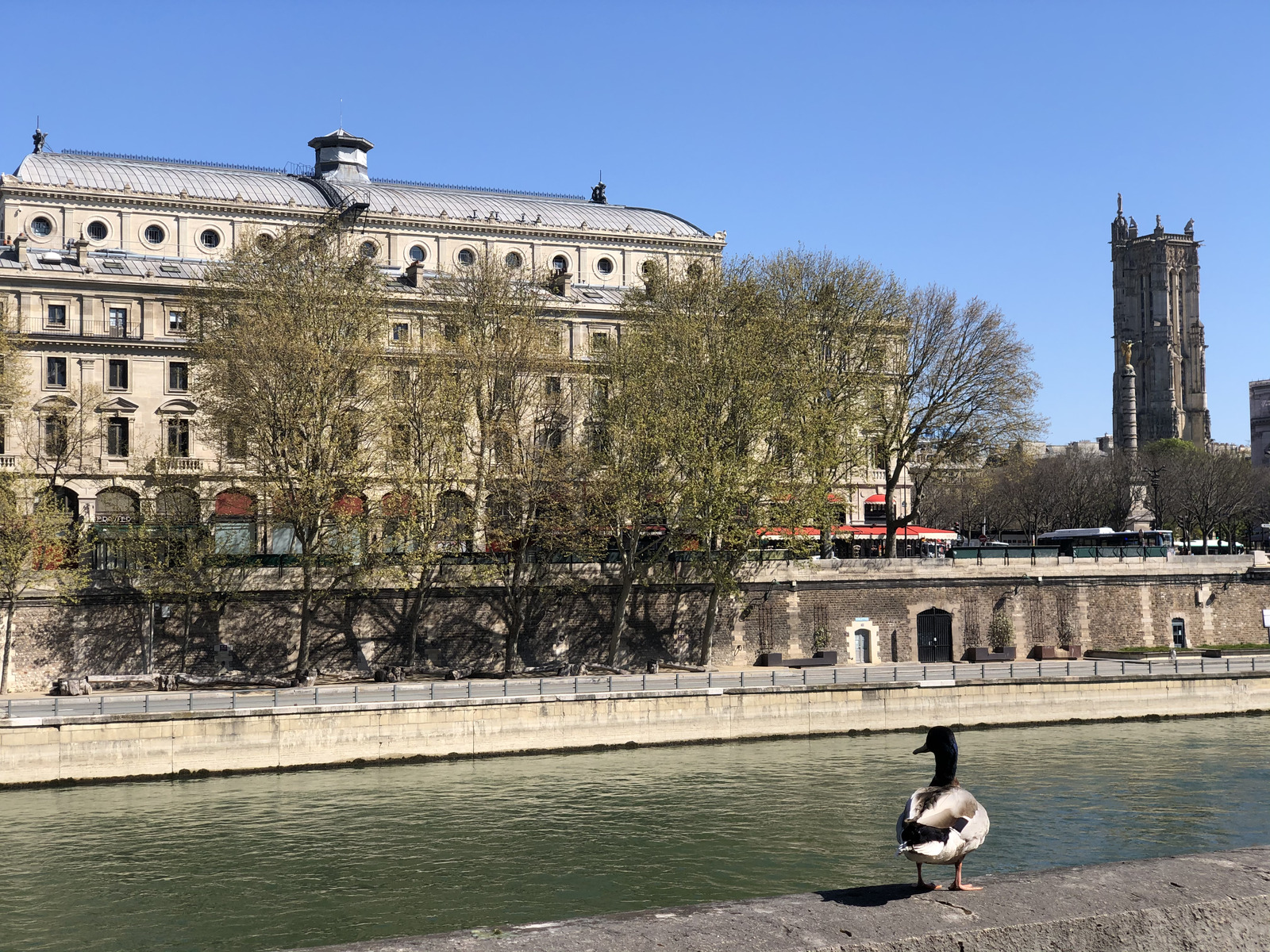 Picture France Paris lockdown 2020-04 25 - Tourist Paris lockdown