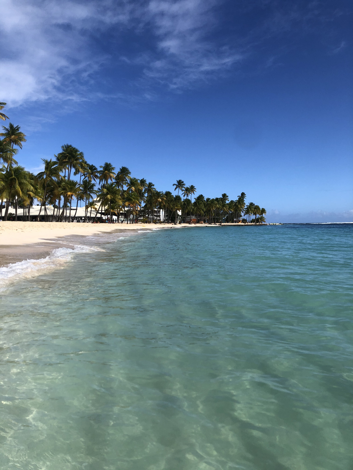 Picture Guadeloupe La Caravelle Beach 2021-02 144 - Travels La Caravelle Beach