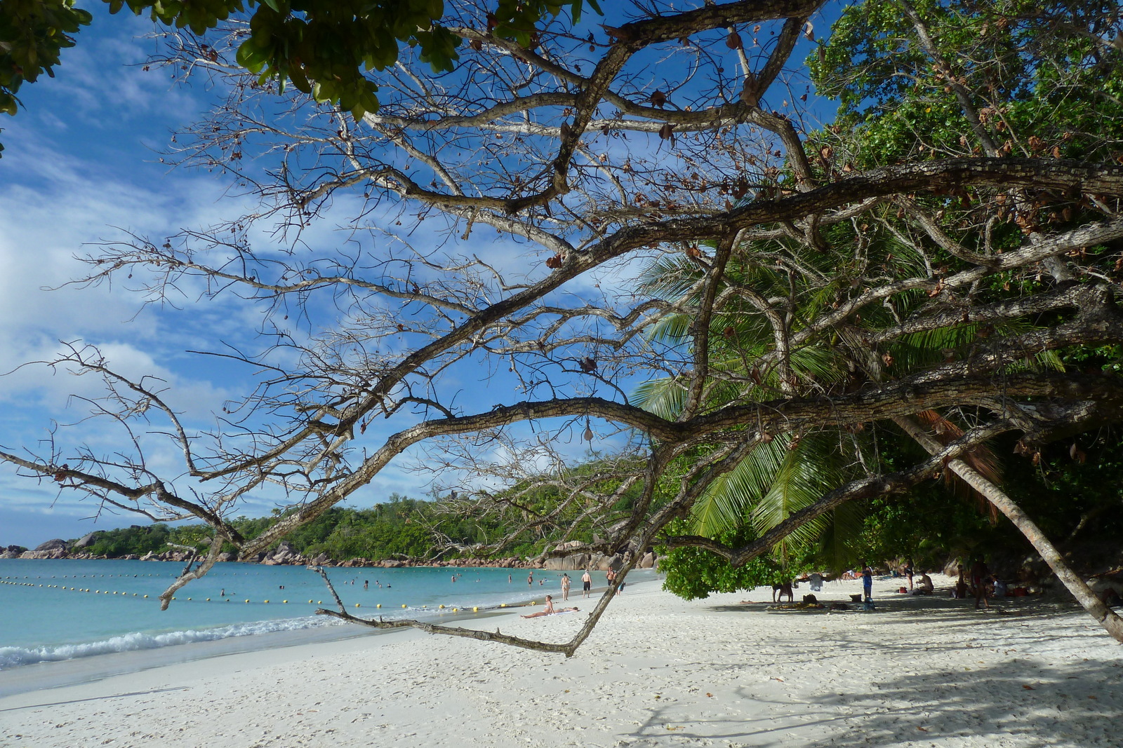 Picture Seychelles Anse Lazio 2011-10 37 - Map Anse Lazio