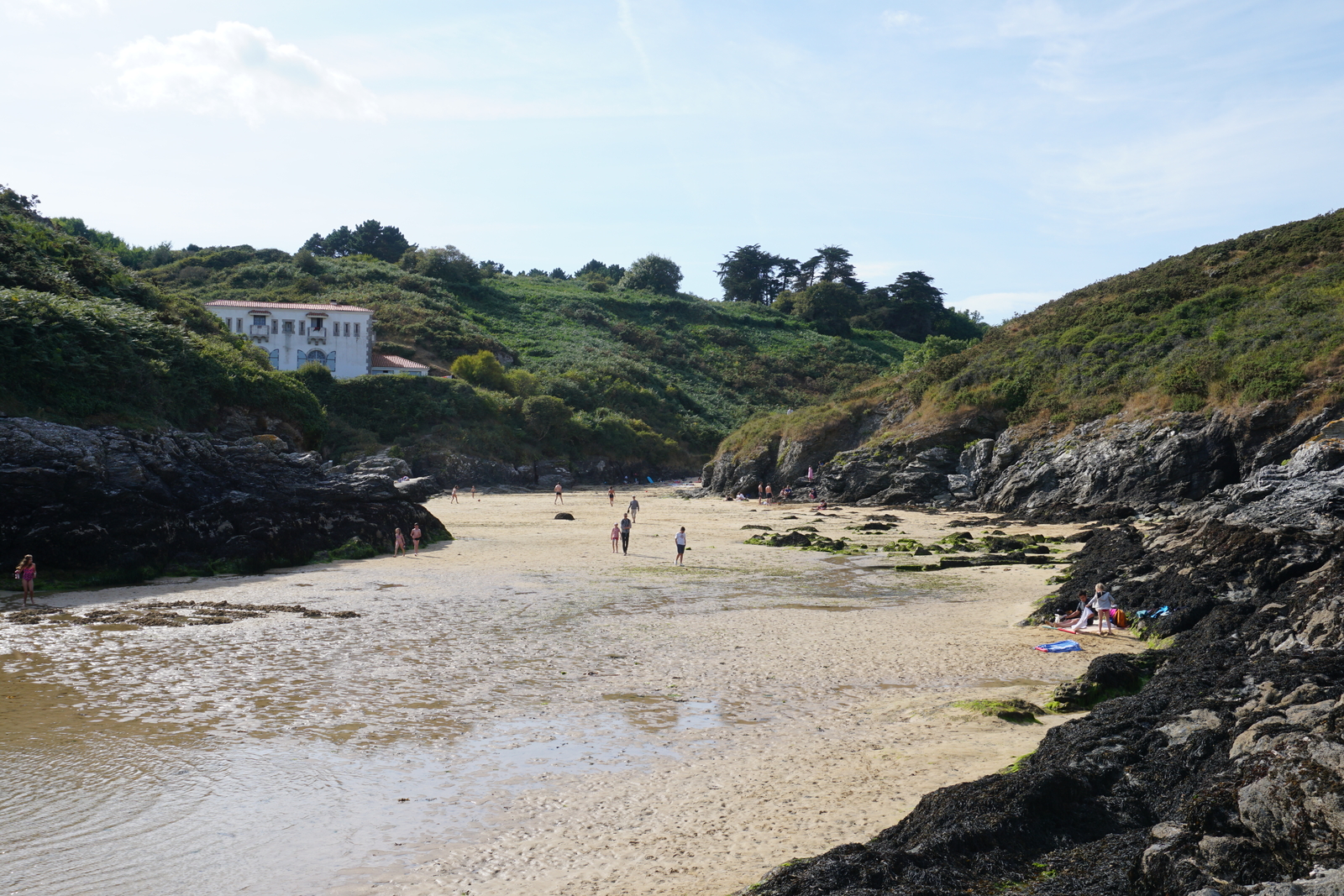 Picture France Belle-Ile 2016-08 50 - Flight Belle-Ile