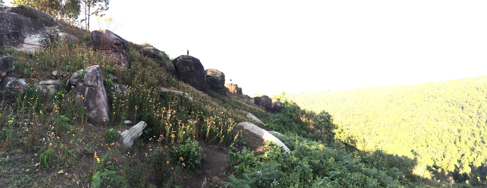 Picture Thailand Phu Hin Rong Kla National Park 2014-12 226 - Discover Phu Hin Rong Kla National Park