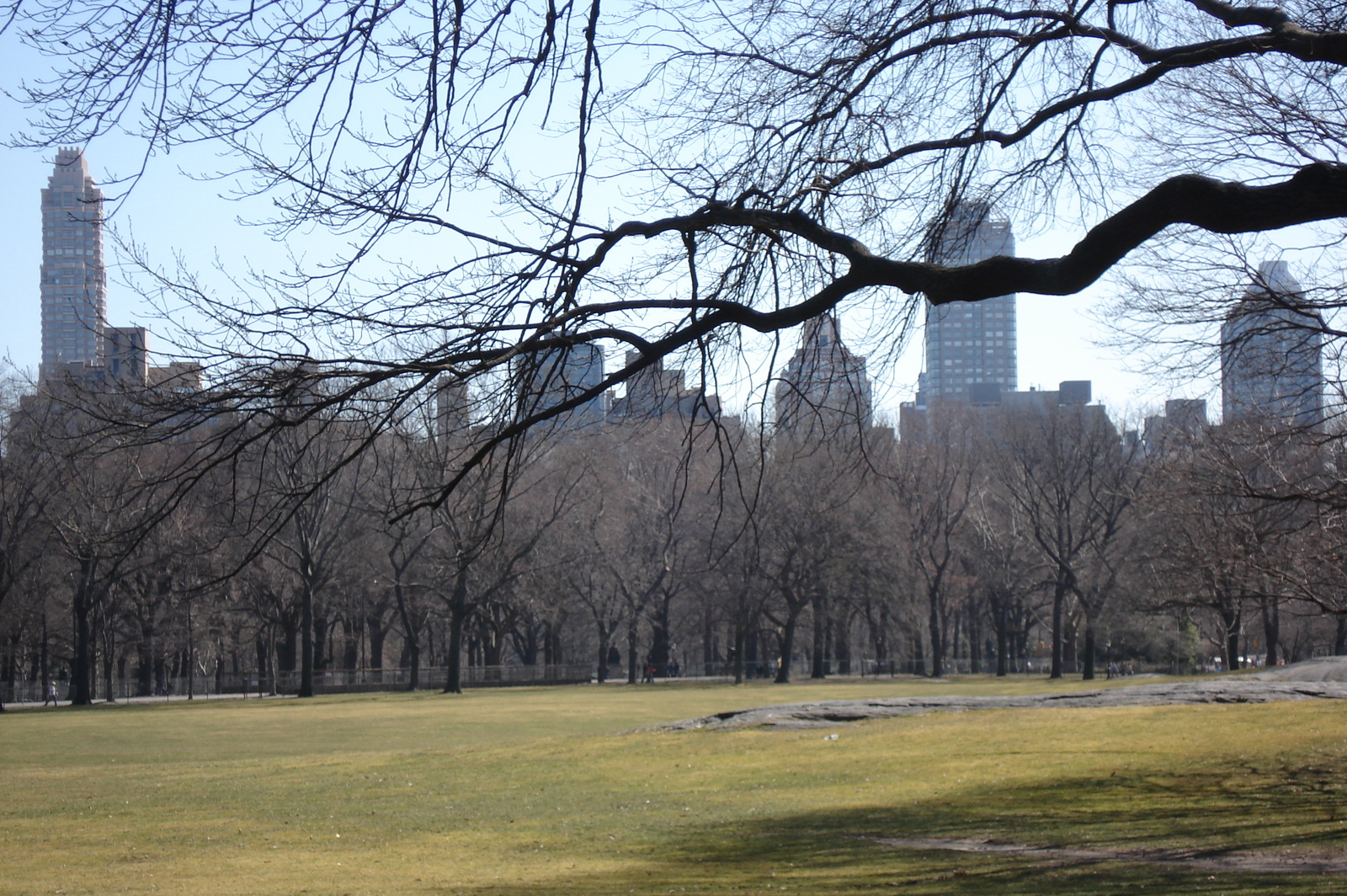 Picture United States New York Central Park 2006-03 2 - Photographer Central Park