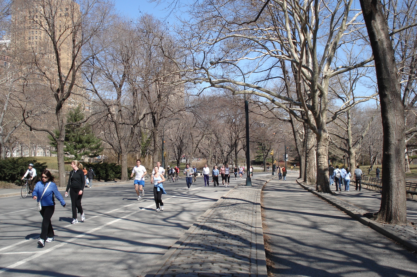 Picture United States New York Central Park 2006-03 30 - Perspective Central Park